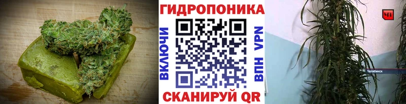Canna-Cookies марихуана  Лосино-Петровский 