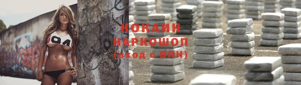 mdpv Богородск