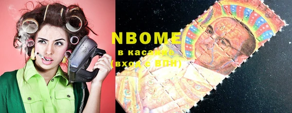 мдпв Богородицк