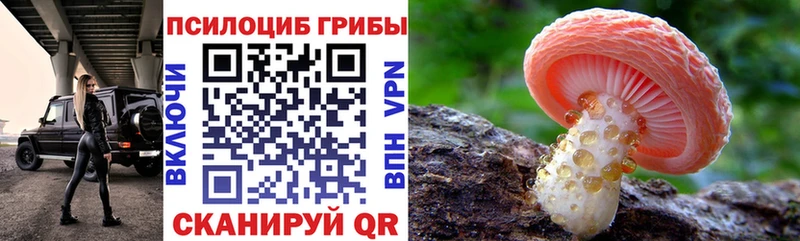 Галлюциногенные грибы ЛСД  Лосино-Петровский 
